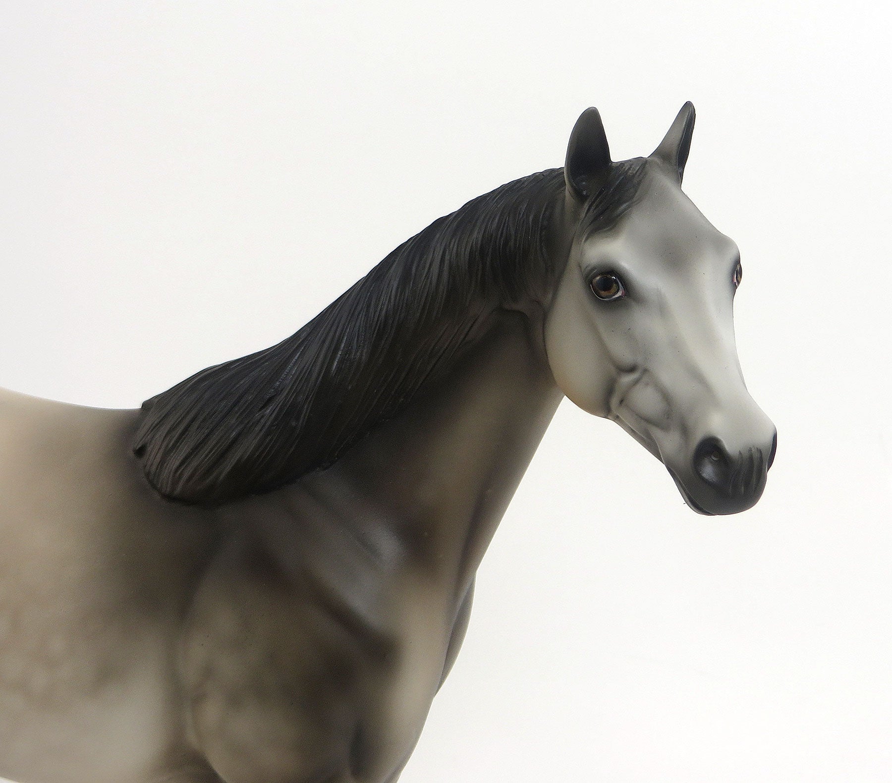 MR. BADLANDS- OOAK Dapple Gray Appaloosa Stock Horse 8/28