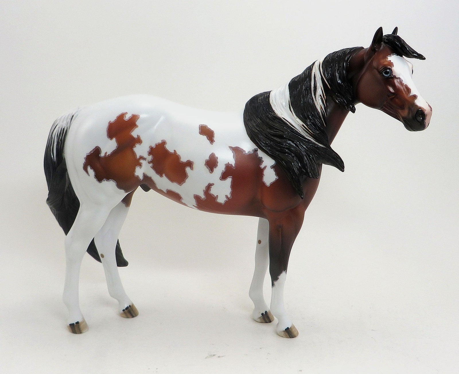 DOWN BY LAW - OOAK Bay Paint Stock Horse W/Mapping 8/28