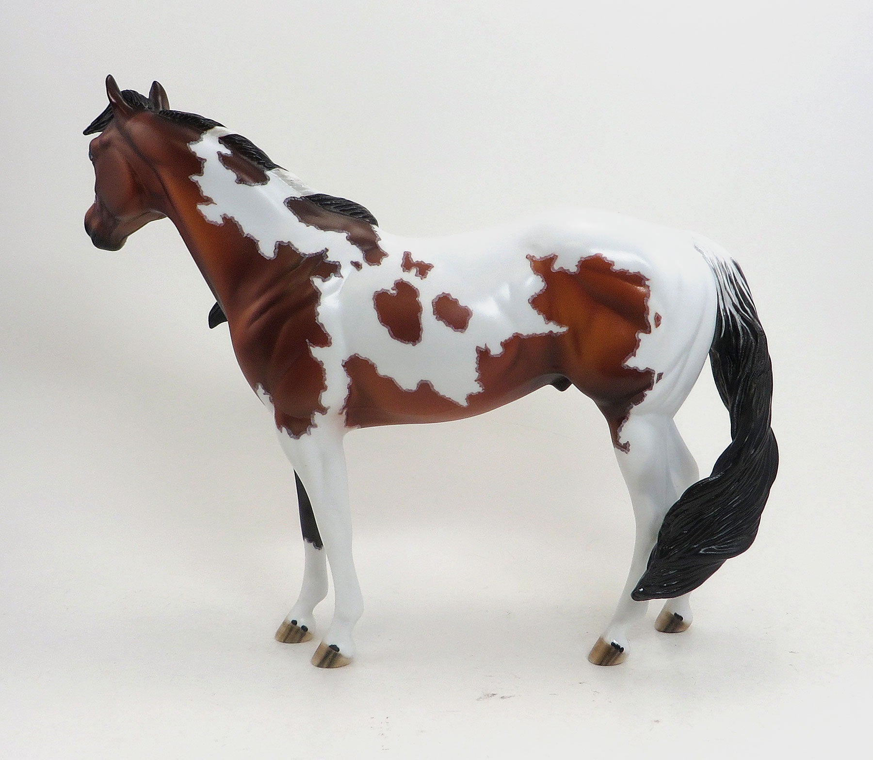 DOWN BY LAW - OOAK Bay Paint Stock Horse W/Mapping 8/28