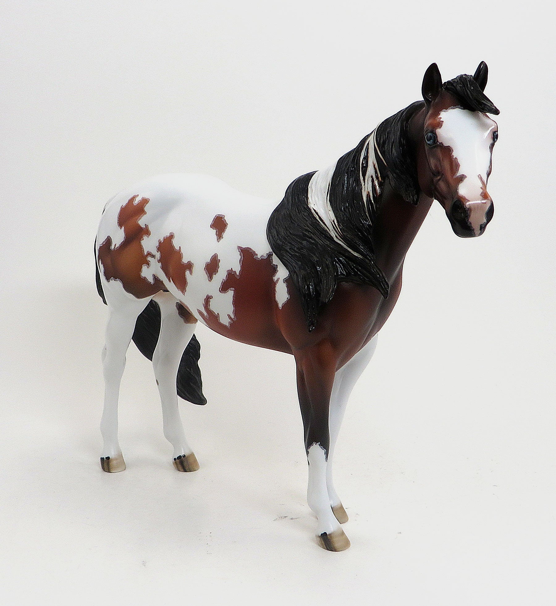 DOWN BY LAW - OOAK Bay Paint Stock Horse W/Mapping 8/28