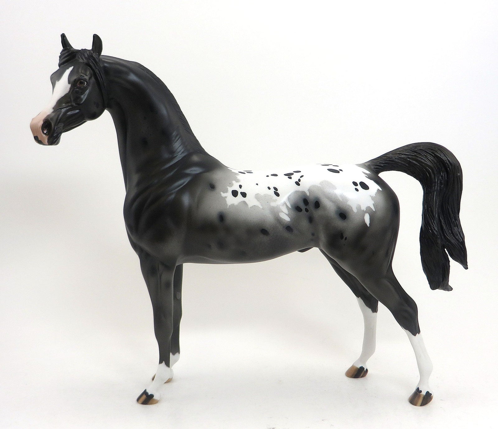 Illanipi- OOAK Black Appaloosa Arabian 8/28