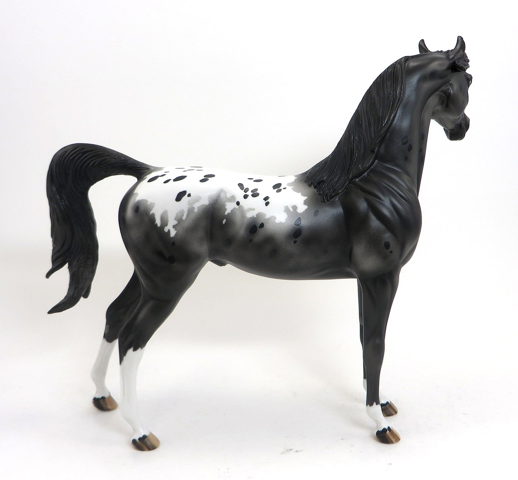 Illanipi- OOAK Black Appaloosa Arabian 8/28
