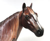 chestnut roan