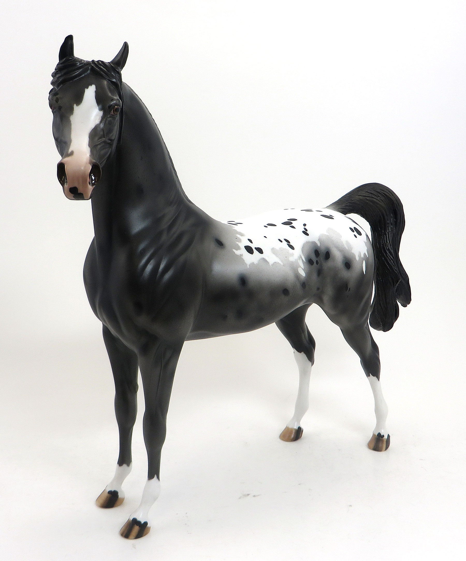 Illanipi- OOAK Black Appaloosa Arabian 8/28