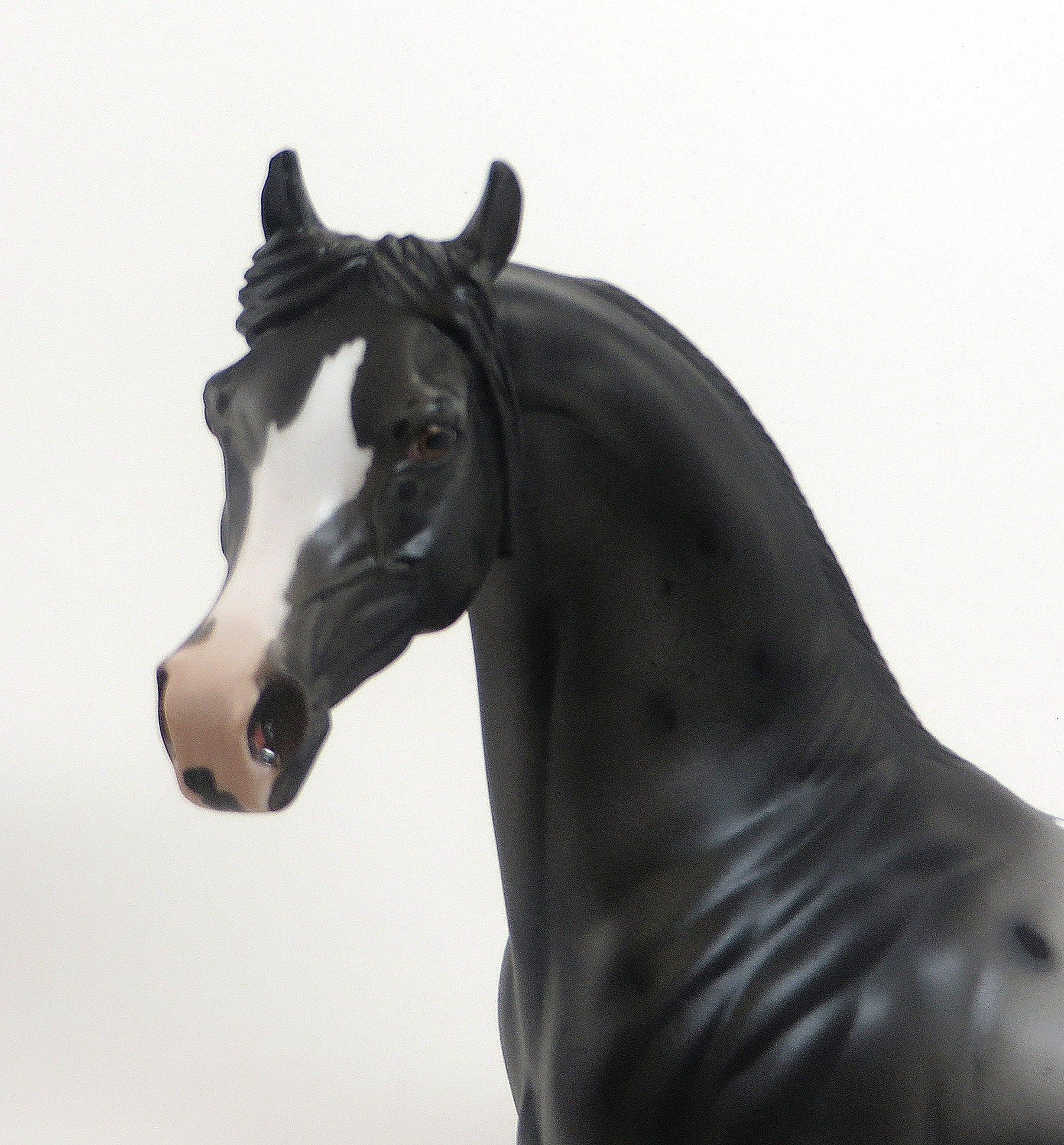 Illanipi- OOAK Black Appaloosa Arabian 8/28