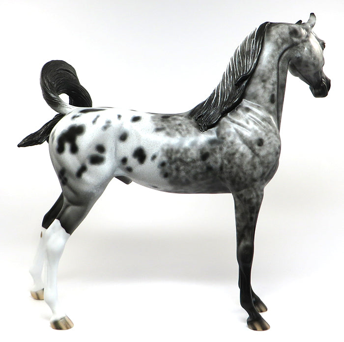 OPPORTUNITY KNOCKS-OOAK APPALOOSA ARABIAN MODEL HORSE