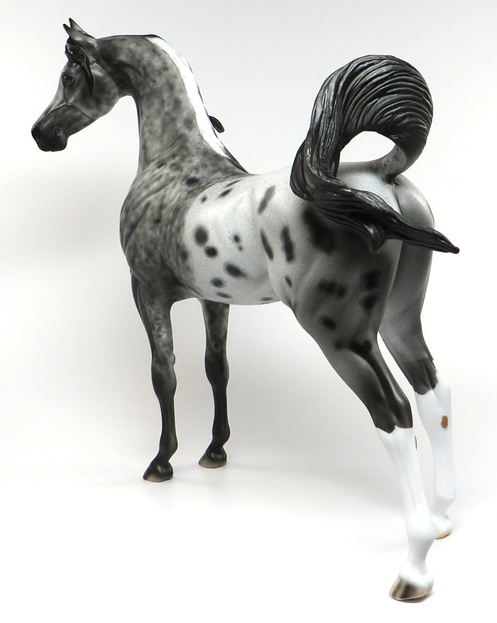 OPPORTUNITY KNOCKS-OOAK APPALOOSA ARABIAN MODEL HORSE