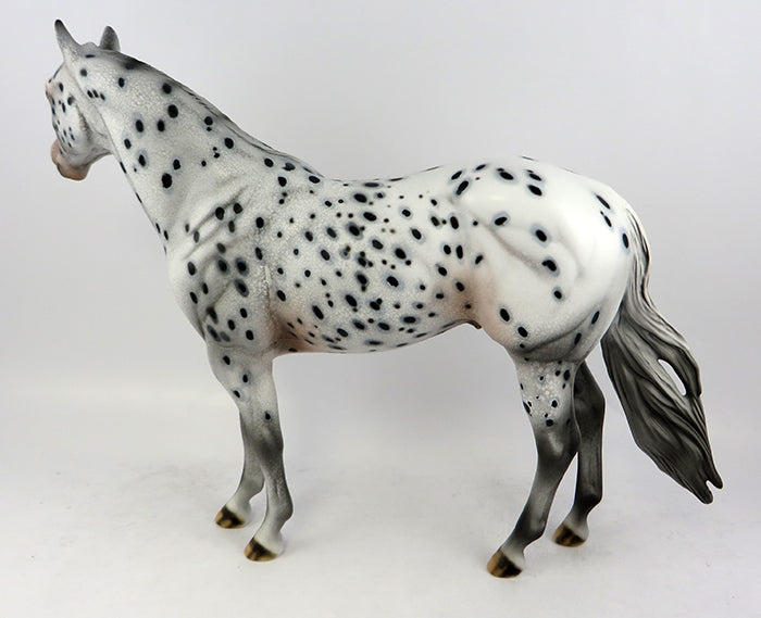 Appaloosa