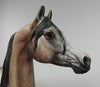 one of a kind arabian 