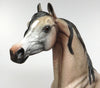 bay going grey arabian 