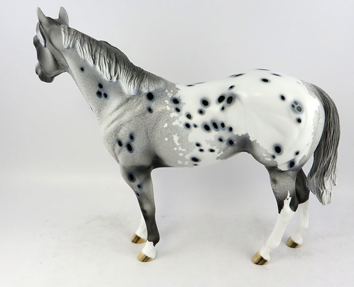 Appaloosa