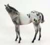 KIMI (Secret) - LE 6 Appaloosa Weanling-Pre-order  8/28