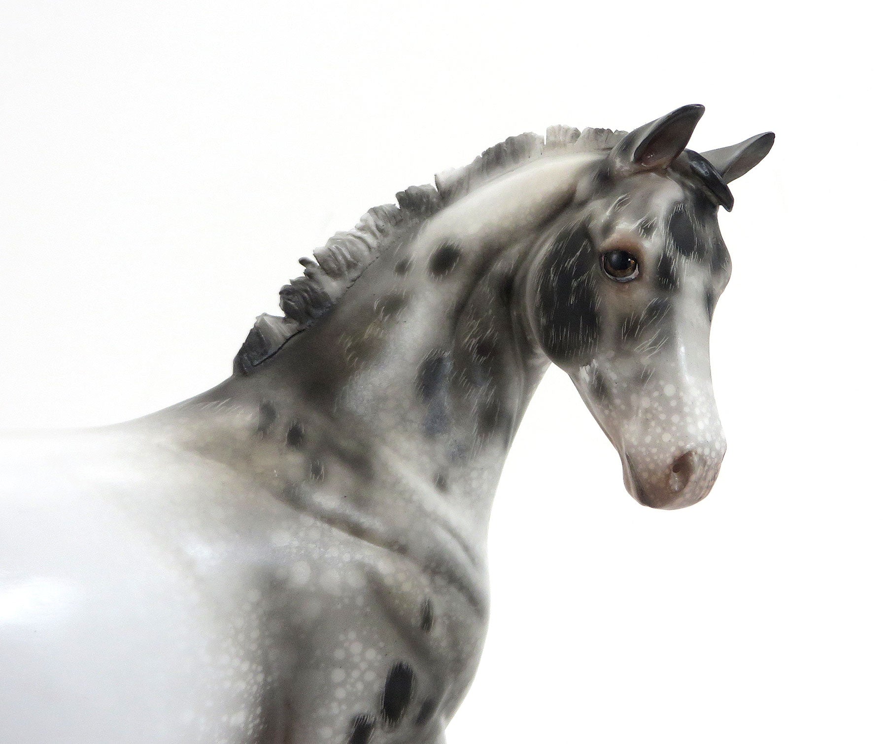 KIMI (Secret) - LE 6 Appaloosa Weanling-Pre-order  8/28