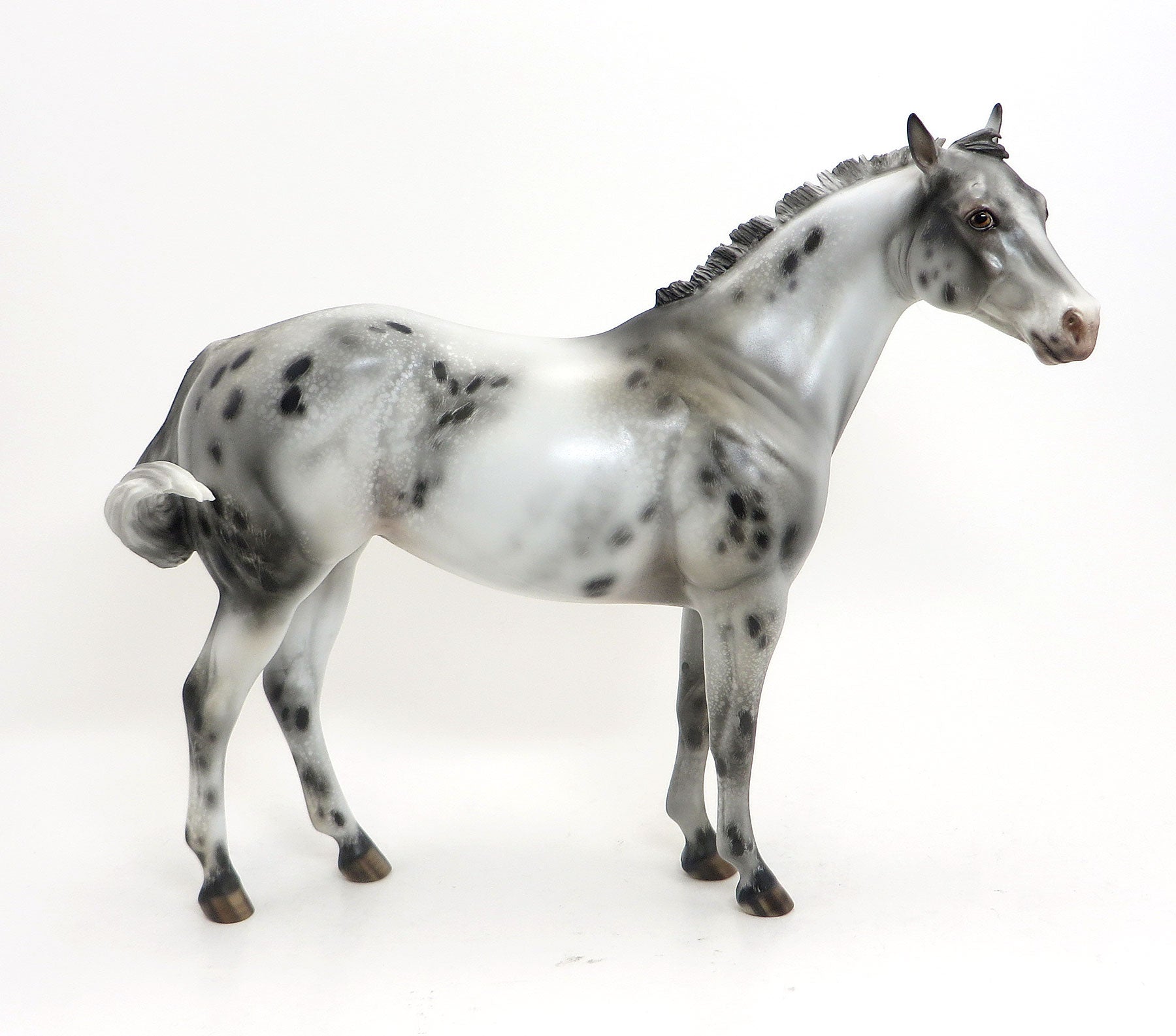 KIMI (Secret) - LE 6 Appaloosa Weanling-Pre-order  8/28