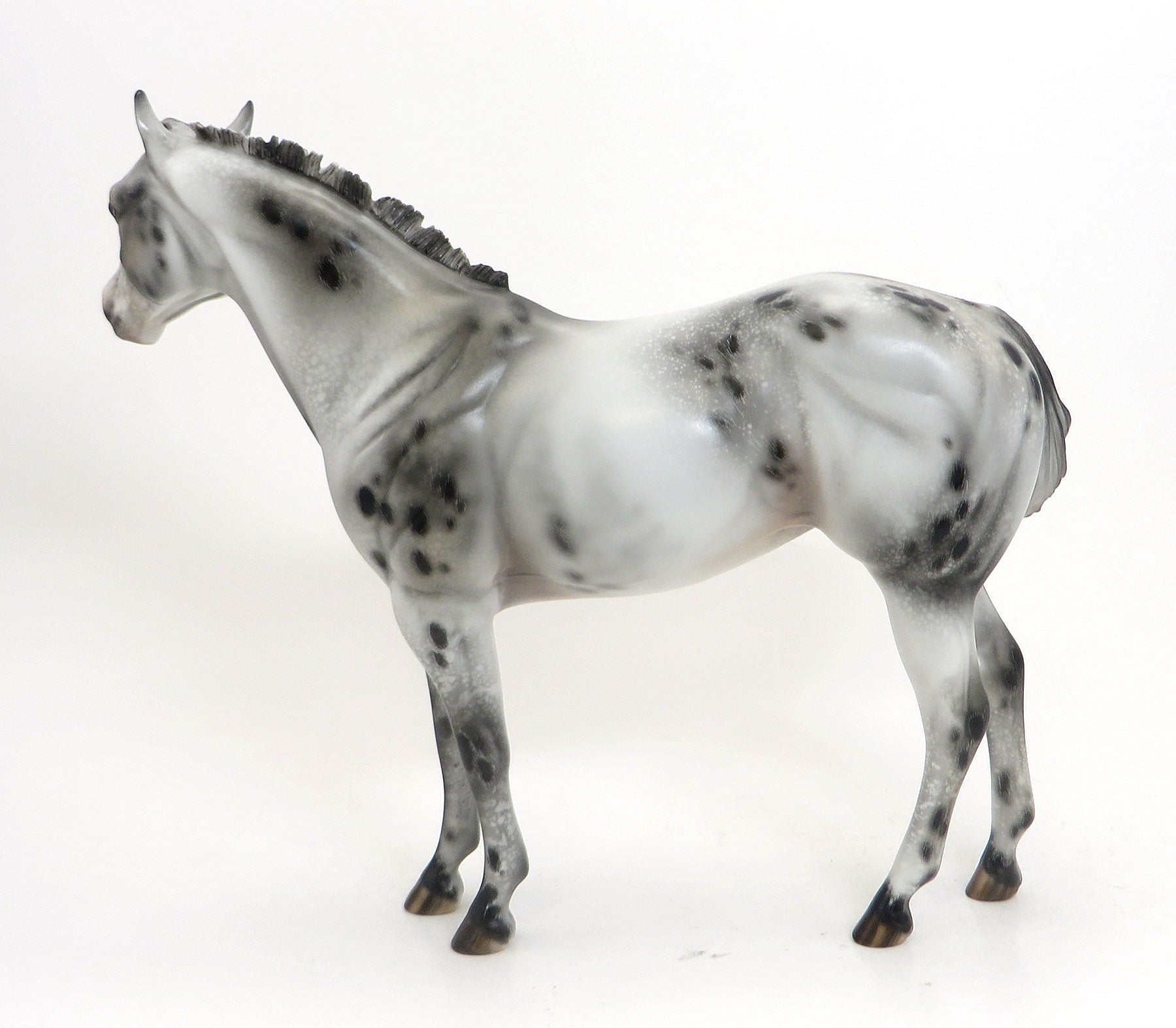 ALGOMA (Valley Of Flowers) - Appaloosa Custom ISH - LE 6 PREORDER - 8/28