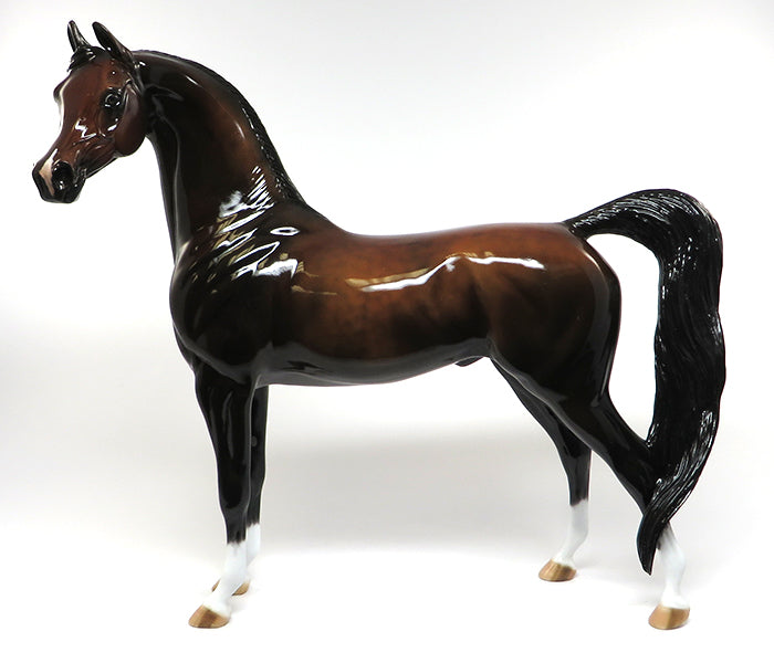 abbey road dark bay arabian