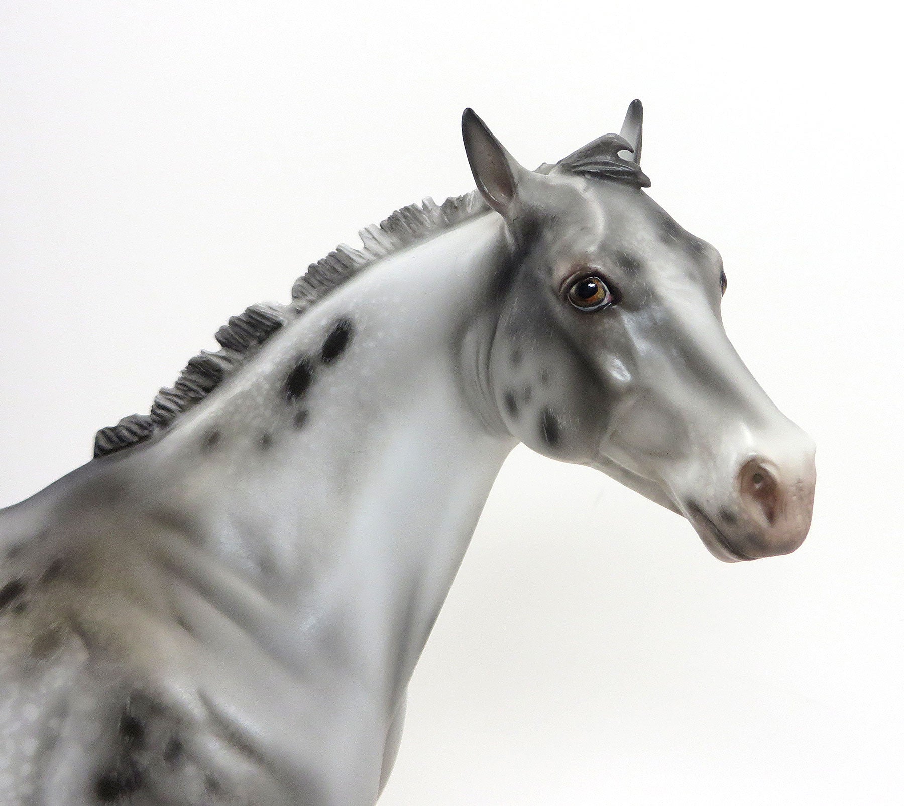 ALGOMA (Valley Of Flowers) - Appaloosa Custom ISH - LE 6 PREORDER - 8/28