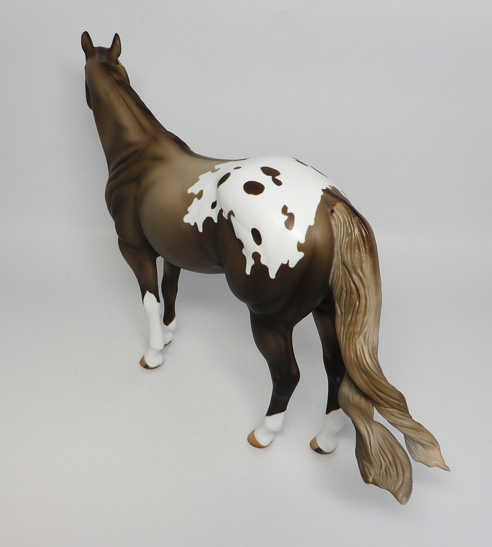 Appaloosa