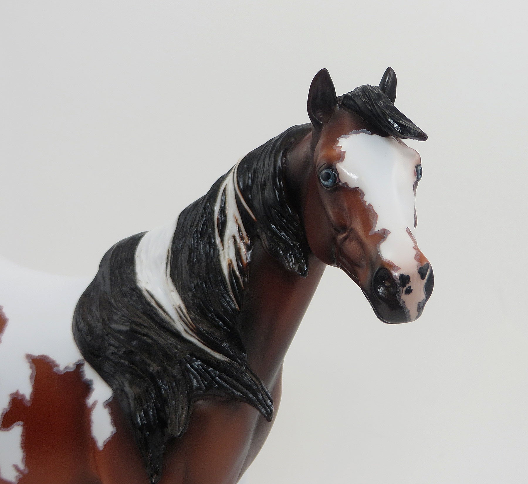 DOWN BY LAW - OOAK Bay Paint Stock Horse W/Mapping 8/28