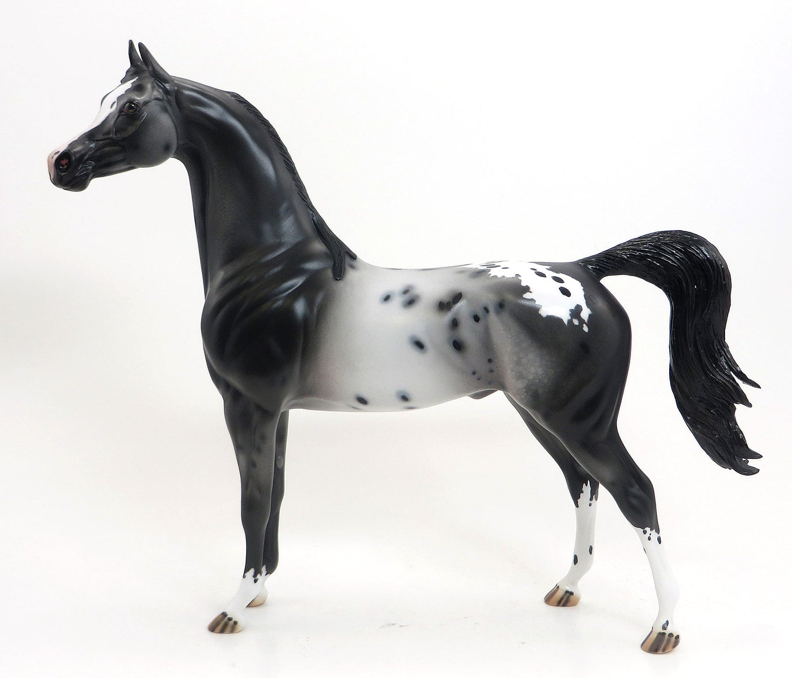 KOHANA (Swift) - OOAK Black Appaloosa Arabian 8/28
