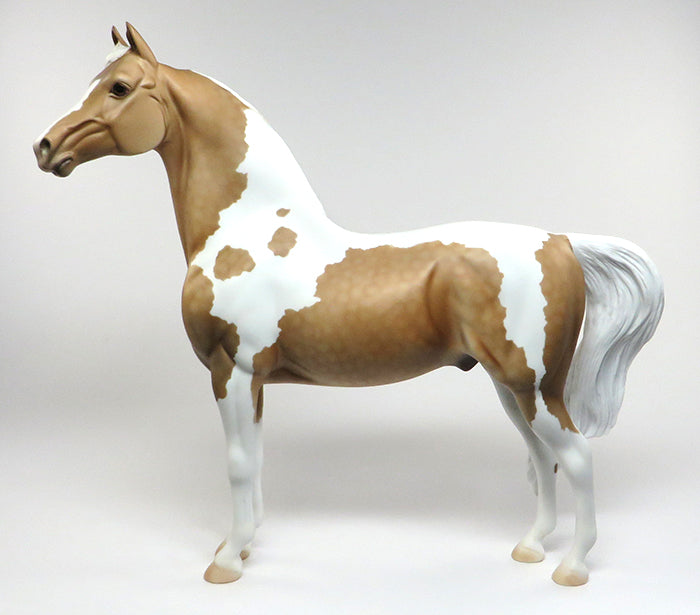 aeropostle morgan horse 