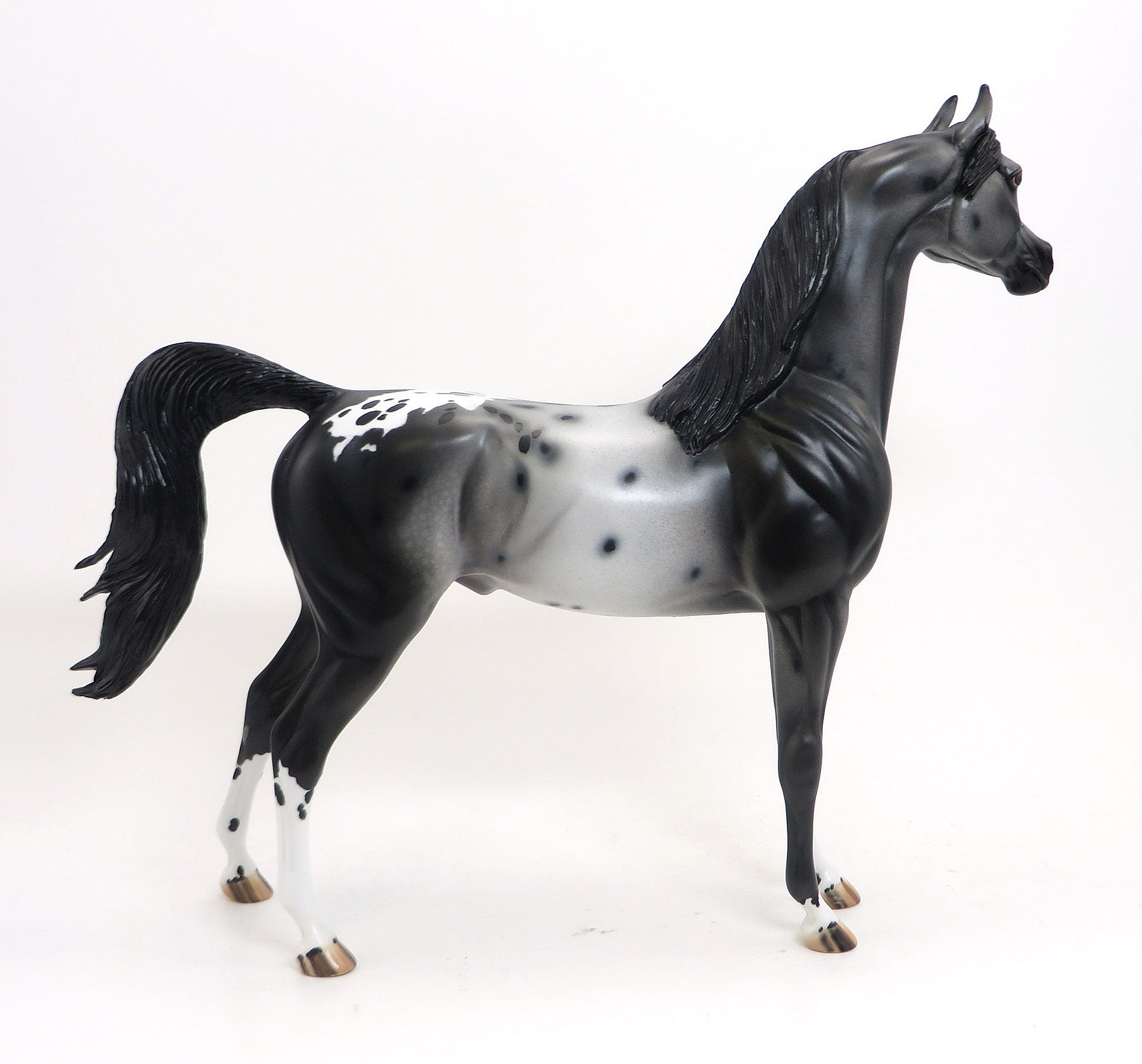 KOHANA (Swift) - OOAK Black Appaloosa Arabian 8/28