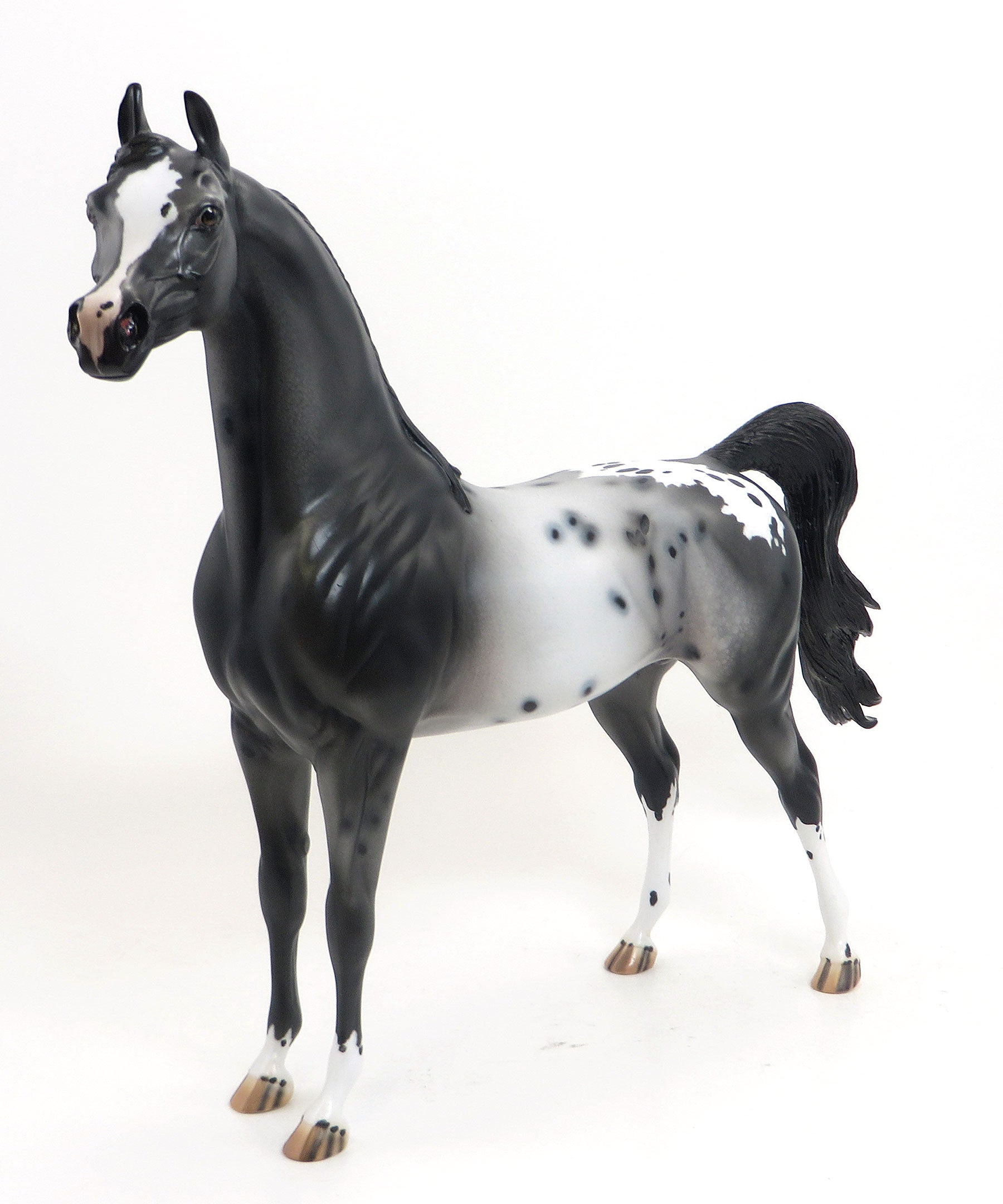 KOHANA (Swift) - OOAK Black Appaloosa Arabian 8/28