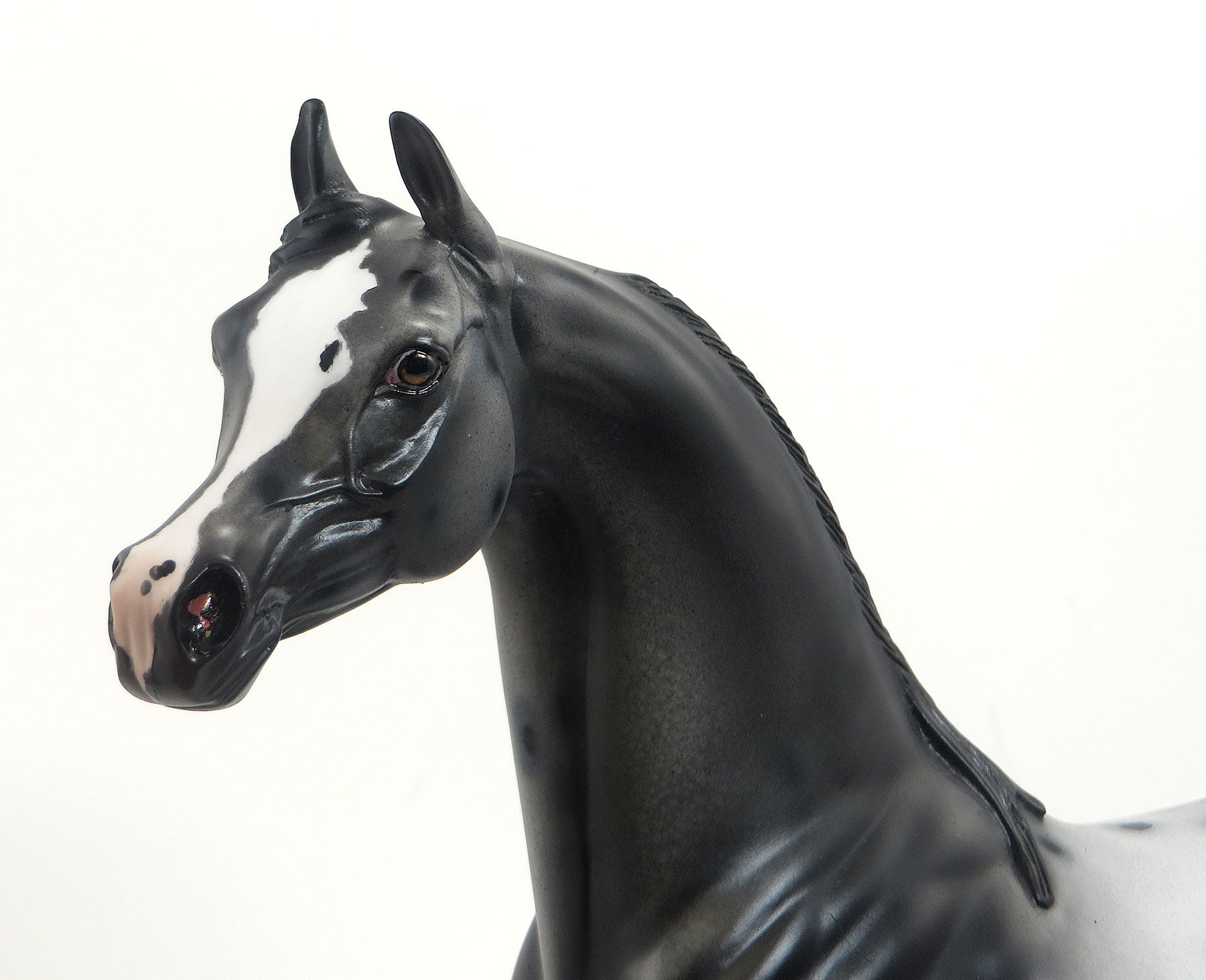 KOHANA (Swift) - OOAK Black Appaloosa Arabian 8/28