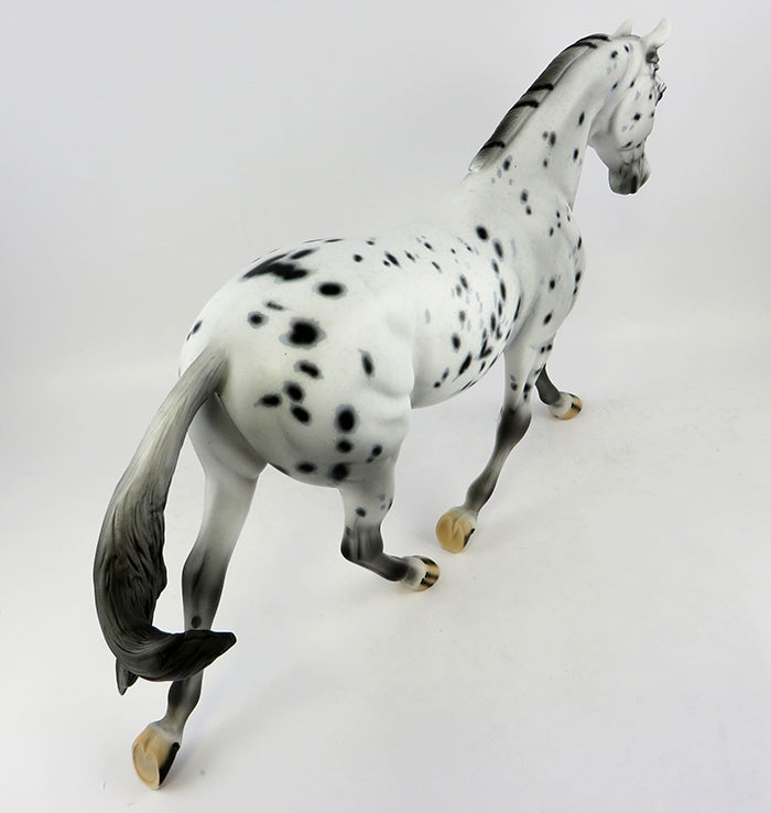 Appaloosa