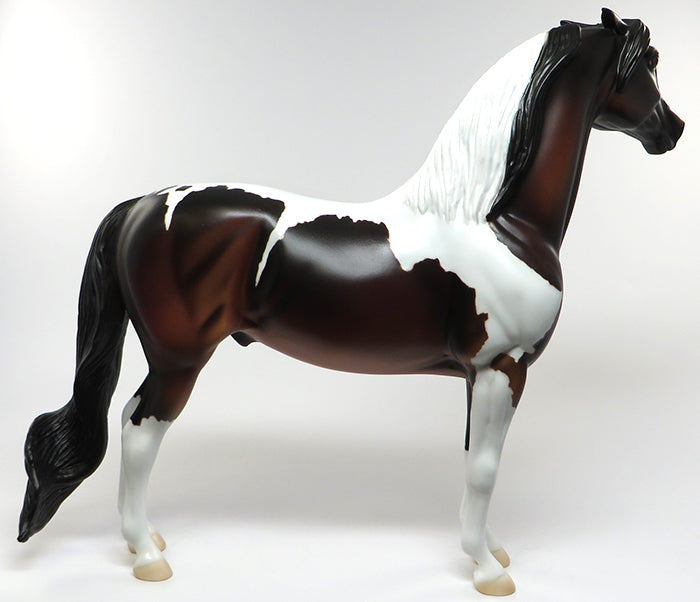 PAINT ME BAY-OOAK BAY PAINT PINNED EAR MORGAN MODEL HORSE 6/9