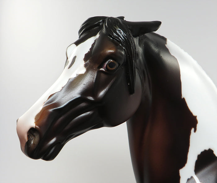 PAINT ME BAY-OOAK BAY PAINT PINNED EAR MORGAN MODEL HORSE 6/9