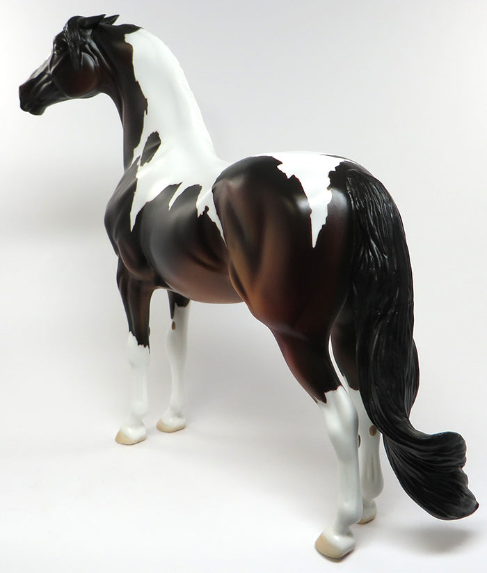 PAINT ME BAY-OOAK BAY PAINT PINNED EAR MORGAN MODEL HORSE 6/9