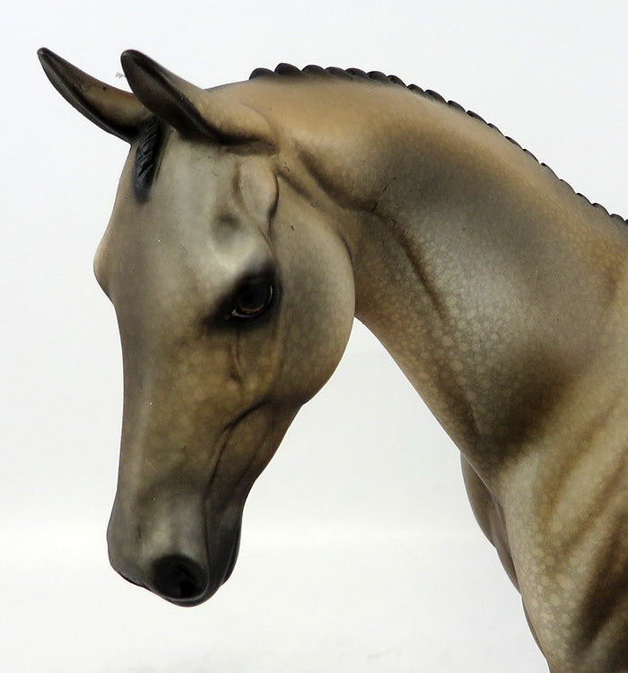 Buckskin