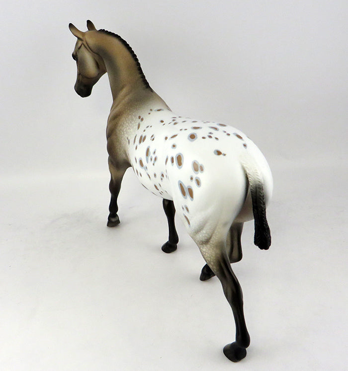Appaloosa