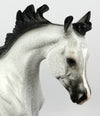 appaloosa