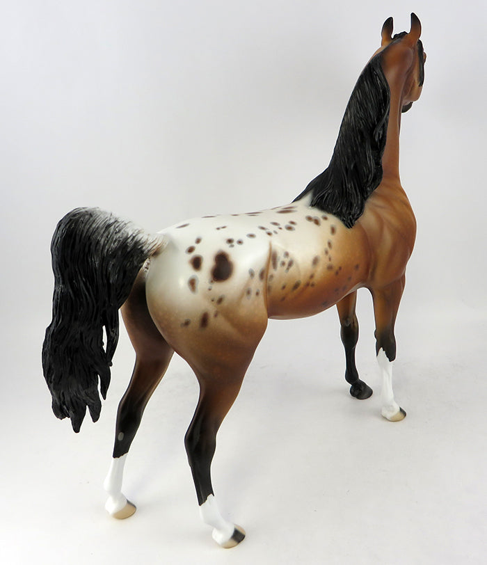 Appaloosa