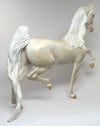 american saddlebred