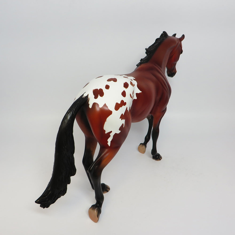 Appaloosa