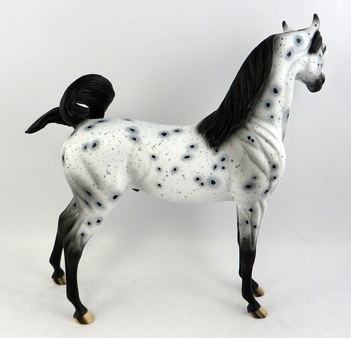 PS PHOTO BOMB -OOAK LOUD LEOPARD APPALOOSA ARABIAN MODEL HORSE 11/22/16