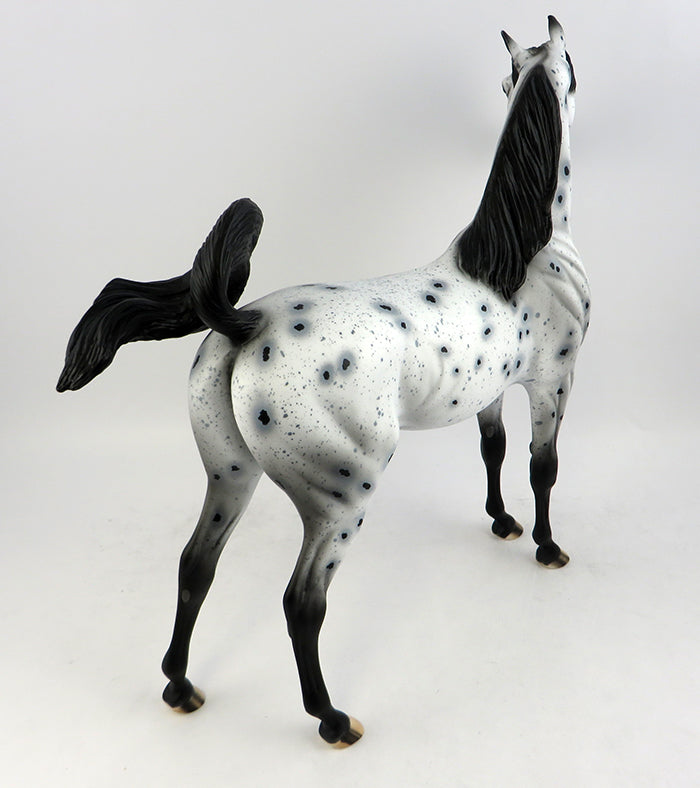 PS PHOTO BOMB -OOAK LOUD LEOPARD APPALOOSA ARABIAN MODEL HORSE 11/22/16
