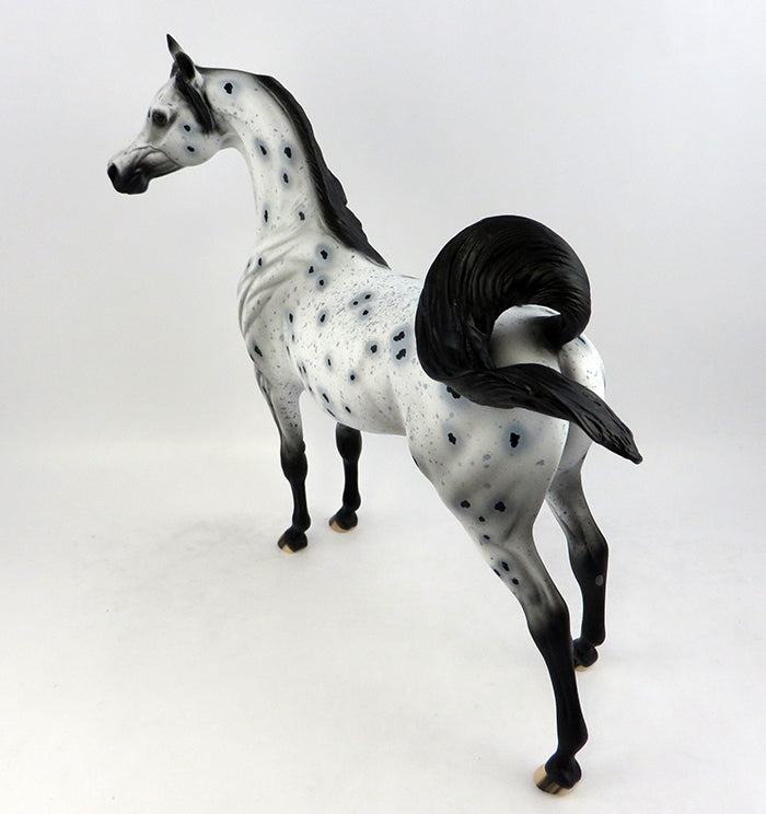 PS PHOTO BOMB -OOAK LOUD LEOPARD APPALOOSA ARABIAN MODEL HORSE 11/22/16