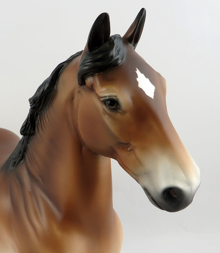 LADY OVER DRAFTER-LE-? PRE-ORDER BAY TROTTING DRAFTER MODEL HORSE 11/17/16