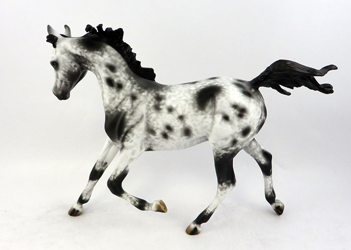 appaloosa