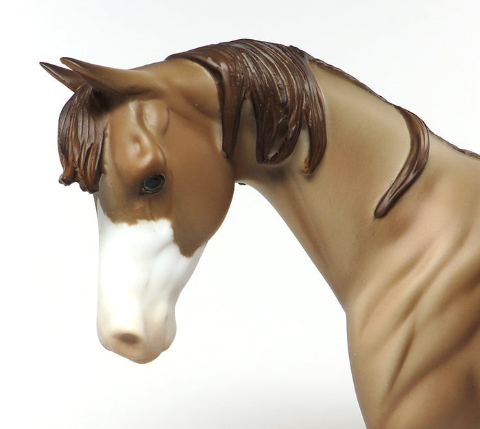 peter stone champagne pony