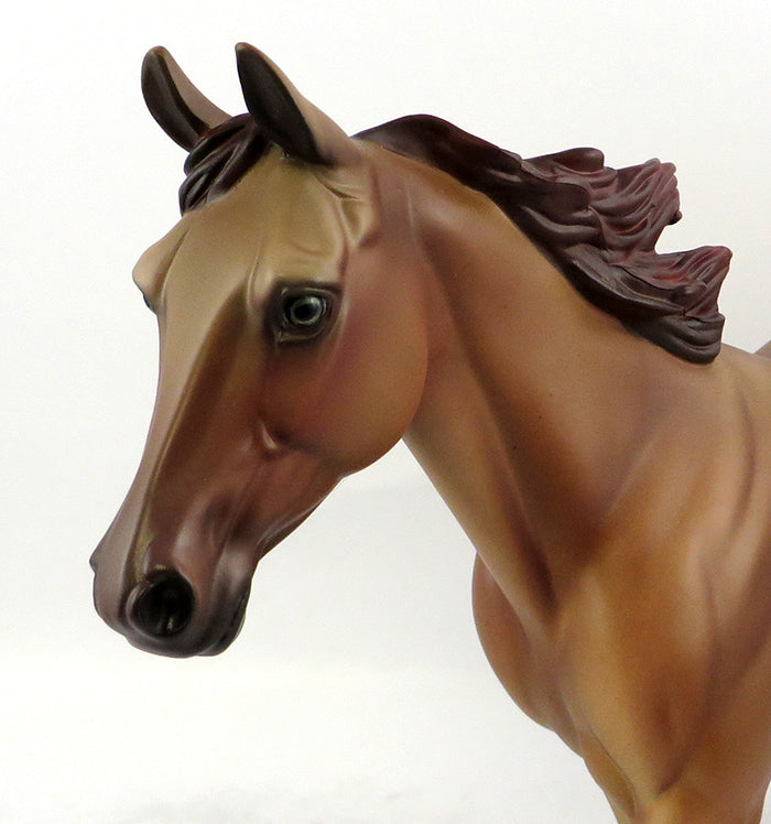 DUN NO MORE-OOAK RED DUN PALOUSE MODEL HORSE 11/22/16