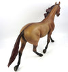 DUN NO MORE-OOAK RED DUN PALOUSE MODEL HORSE 11/22/16