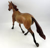 DUN NO MORE-OOAK RED DUN PALOUSE MODEL HORSE 11/22/16
