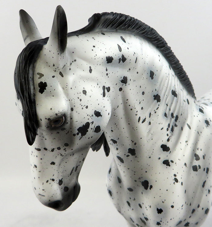 Appaloosa