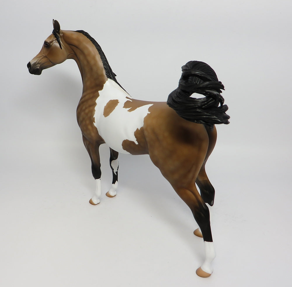 BECKAHM-OOAK CUSTOMIZED PINTO DAPPLE BUCKSKIN ARABIAN MODEL HORSE 10/24/17