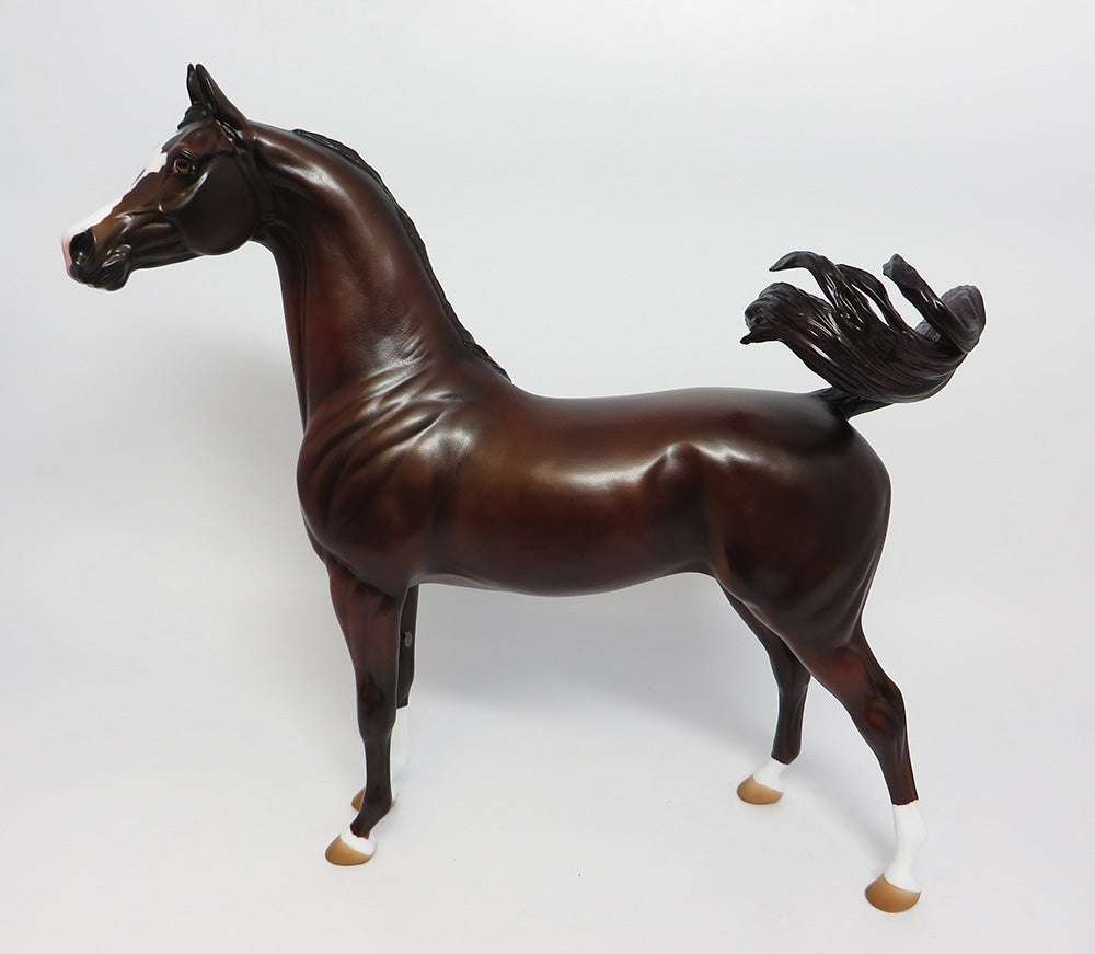 FINNEGAN-OOAK CUSTOMIZED LIVER CHESTNUT ARABIAN 10/24/17